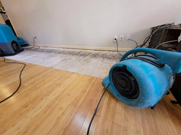 Professional Basement Flood Cleanup technician working in Seffner, FL